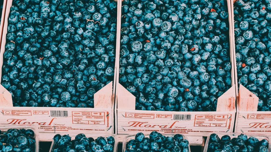 You Are What You Eat - Blueberries