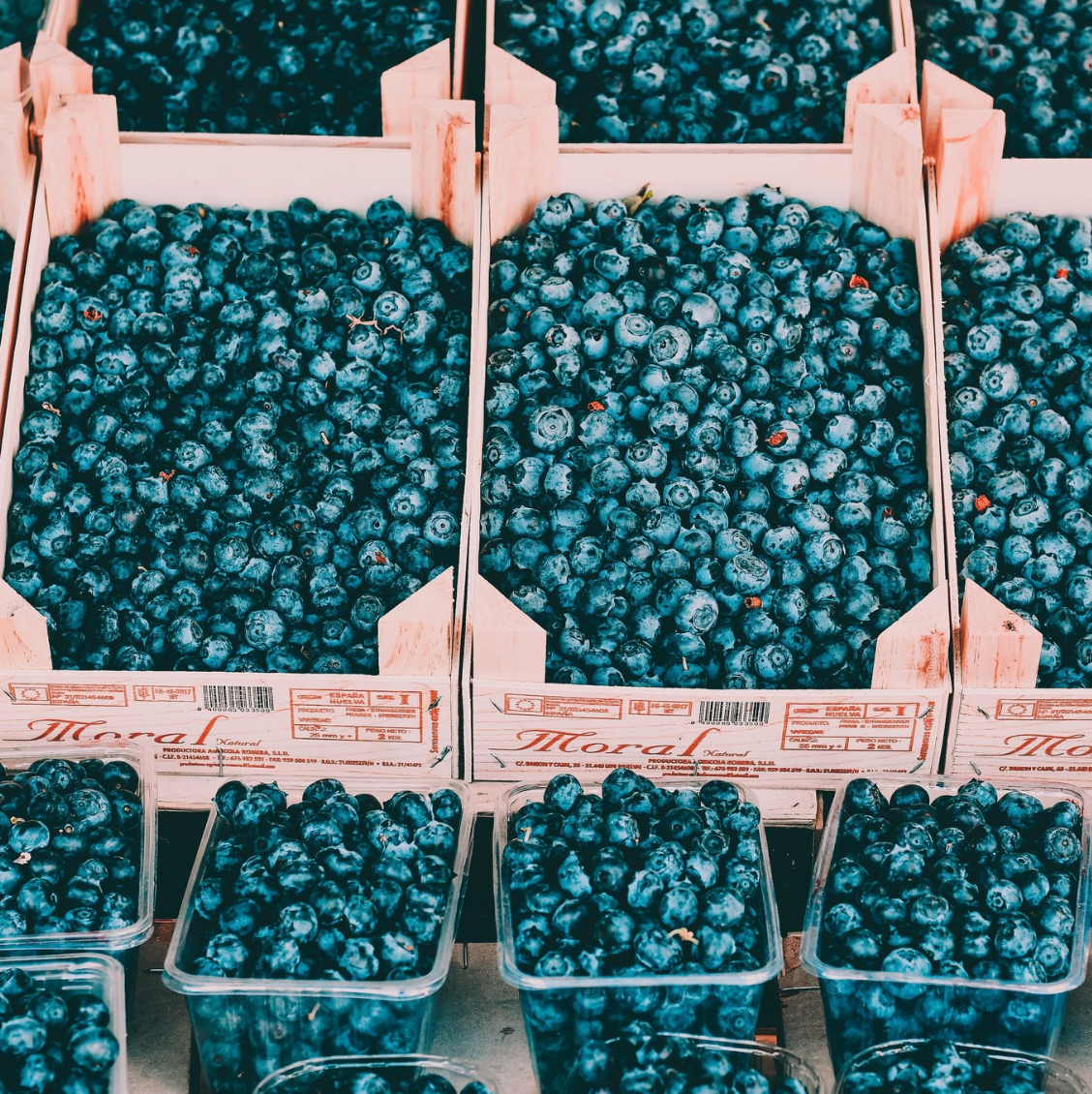 You Are What You Eat - Blueberries