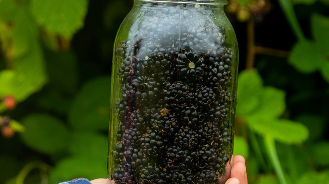 You Are What You Eat - Blackberries