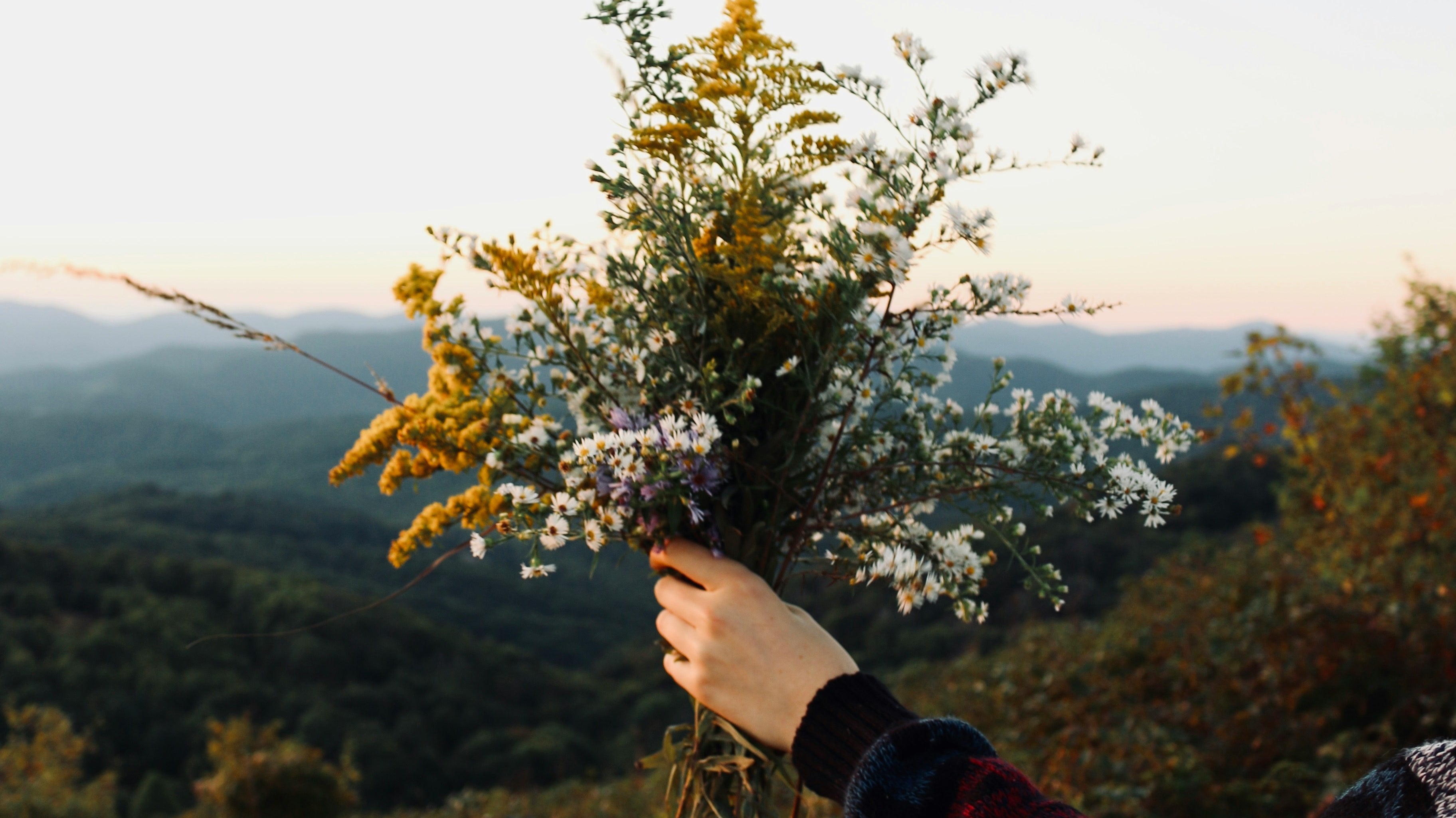 Harmful | Synthetic Fragrances & Chemicals