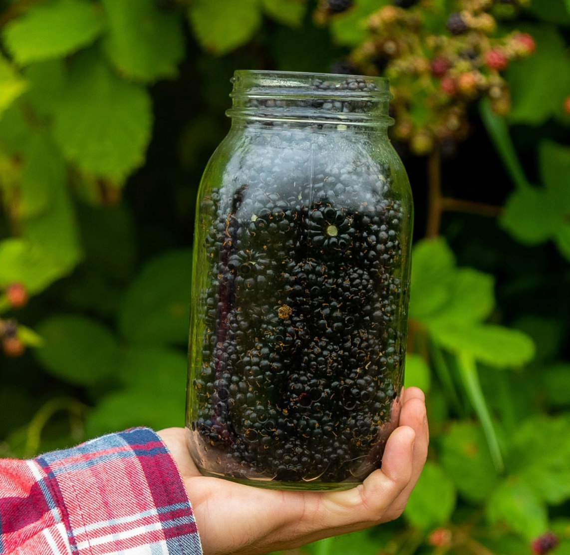 You Are What You Eat - Blackberries